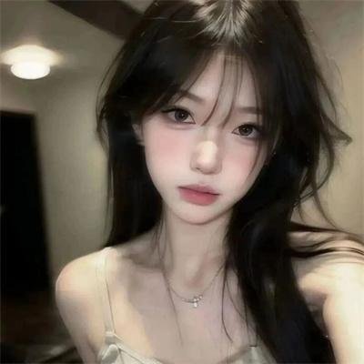 侠盗正传